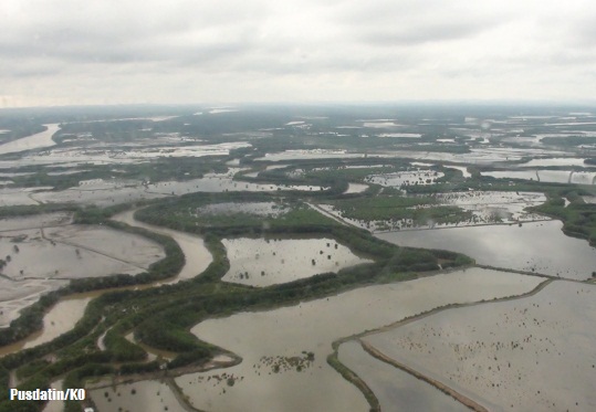 Senipah: Terminal Minyak dan Kondensat di Delta Mahakam